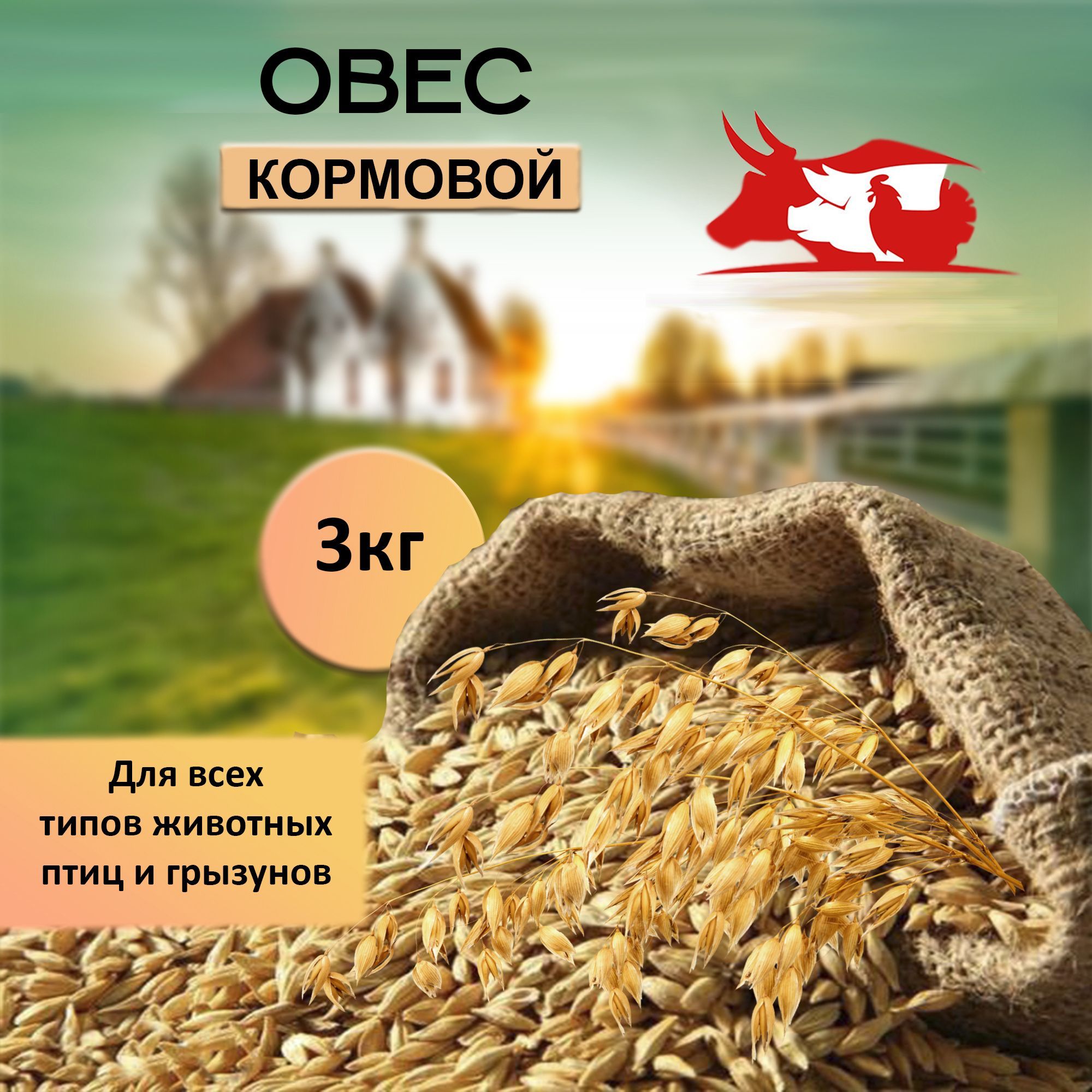 Корм для птиц зерно овес кормовой 3 кг