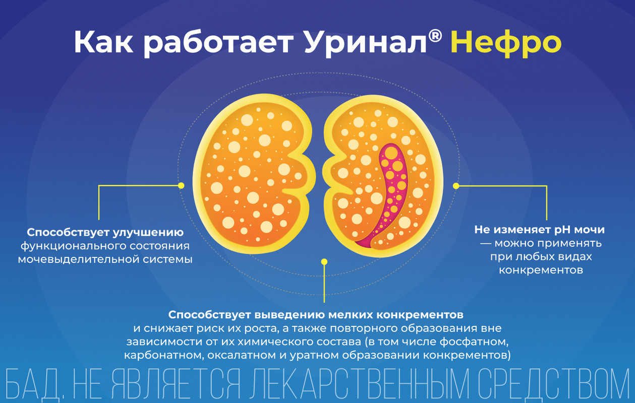 Уринал Нефро, для здоровья почек, капсулы 60 шт(图2)