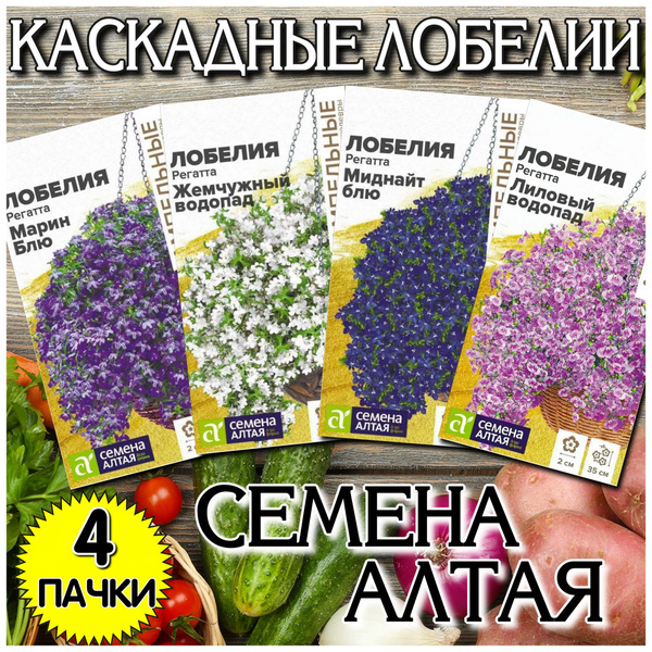 Лобелии Семена Алтая цветы - купить по выгодным ценам в интернет ...