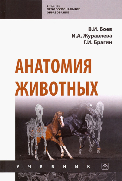 Анатомия животных. Учебник | Журавлева Ирина Алексеевна, Боев Вячеслав ...