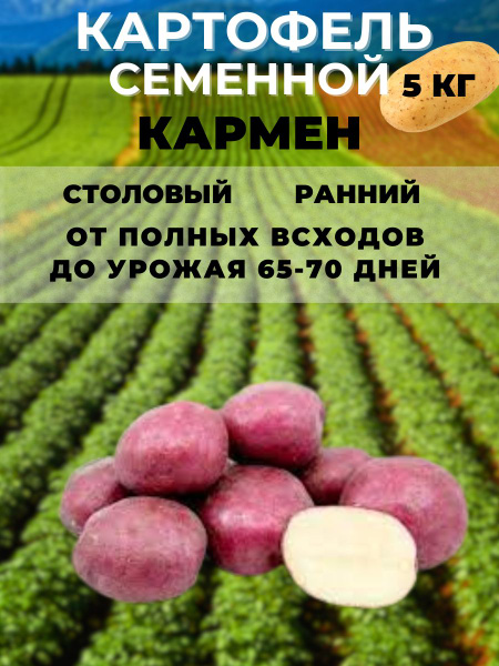 Клубни Картофель Russian Garden купить по выгодной цене в интернет ...