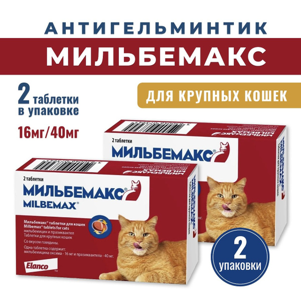 Мильбемакс таблетки от гельминтов для взрослых кошек 16 мг/40 мг ...