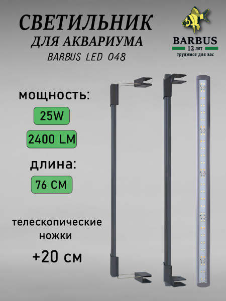 BARBUS barbus