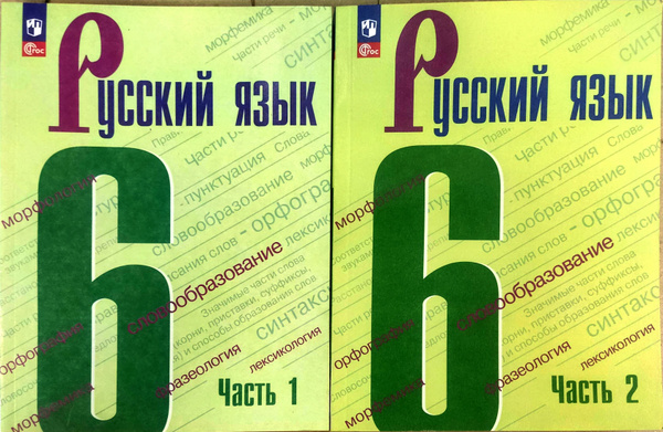 Русский язык. 6 класс. Учебник. В 2х частях. 2023. Ладыженская Т.А ...