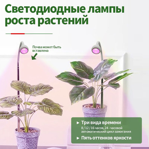Фитолампа для растений 3Вт / Красный и синий свет / Для досветки ...