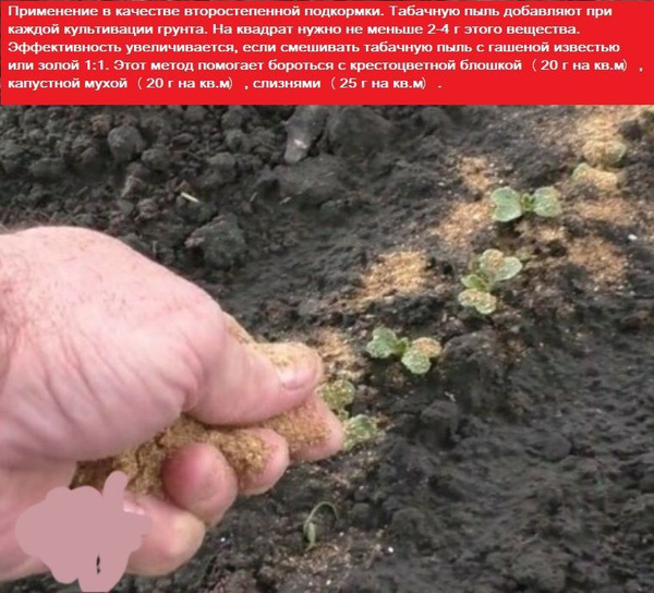 Удобрение табачная пыль 450г - купить по низкой цене в интернет ...