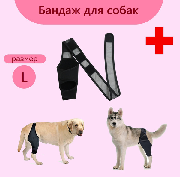 Бандаж ортопедический для собак. Размер L купить на OZON по низкой цене ...