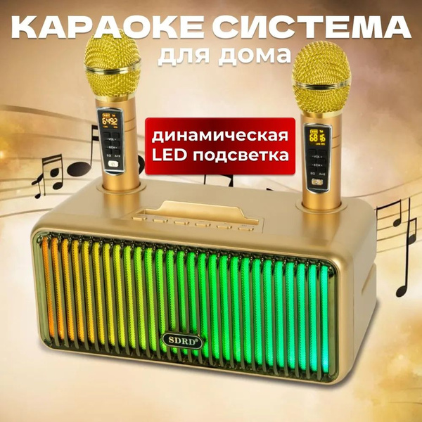 Караоке система для дома SDRD SD-319 PRO золотая с двумя беспроводными ...
