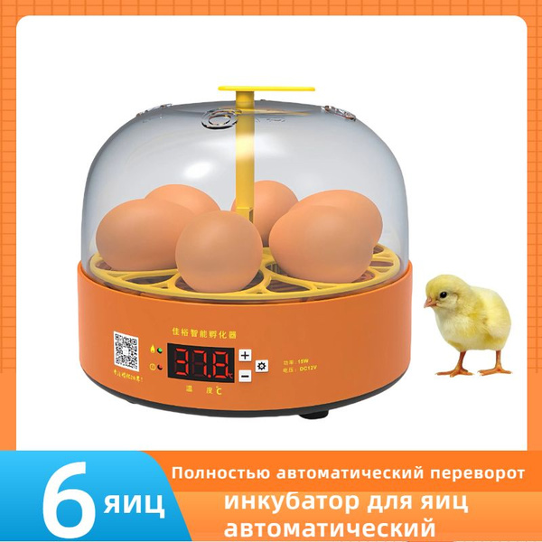 Инкубатор для яиц автоматический с терморегулятором, автоповоротом на 6 ...