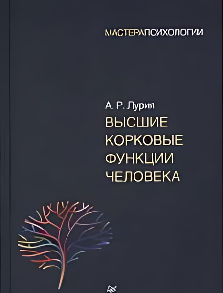 Высшие корковые функции человека - купить с доставкой по выгодным ценам ...
