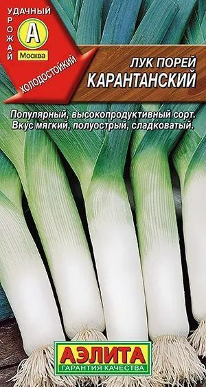 Лук ЛЕТО LER13880115_зеленый_зеленый - купить по выгодным ценам в интернет-магаз