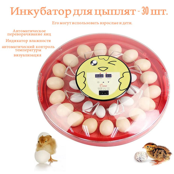 Инкубатор для яиц автоматический 30 терморегулятором, гигрометром ...