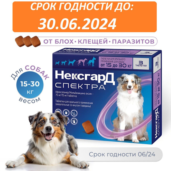 Нексгард Спектра L жевательная таблетка от клещей и блох для собак ...