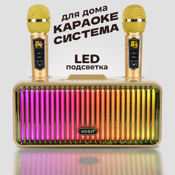 Караоке система SD-319 Pro /золотая/ с двумя микрофонами для взрослых и ...