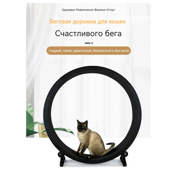 Беговая дорожка для кошек, игрушки для кошек, беговая дорожка купить на ...