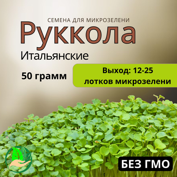 Семена рукколы для проращивания микрозелени 50 грамм - купить с ...