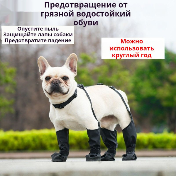 Обувь для собак Ботинки для собак на подтяжках Водонепроницаемый ...