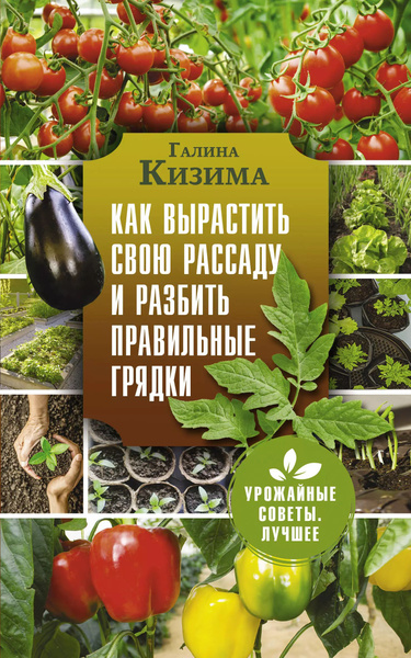 Как вырастить свою рассаду и разбить правильные грядки - купить с ...
