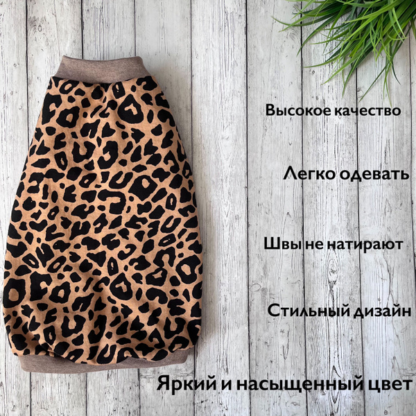 Футболка одежда для кошек и котов сфинкс-Леон - купить с доставкой по ...