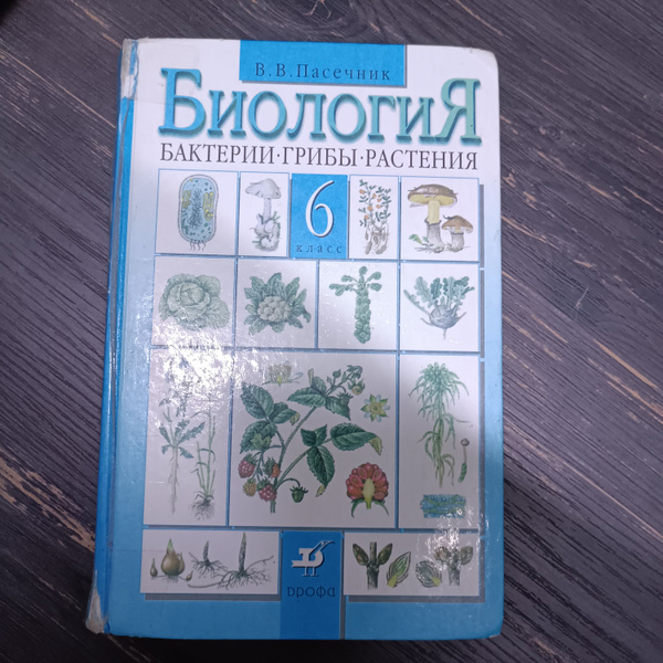 Биология 6 класс Пасечник В. В. - купить с доставкой по выгодным ценам ...