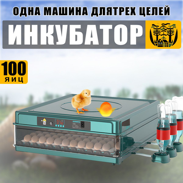 Инкубатор для яиц автоматический 100 с терморегулятором, гигрометром ...