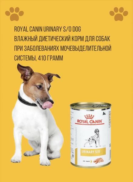 Royal Canin Urinary S/O Dog (паштет). Влажный диетический корм для ...
