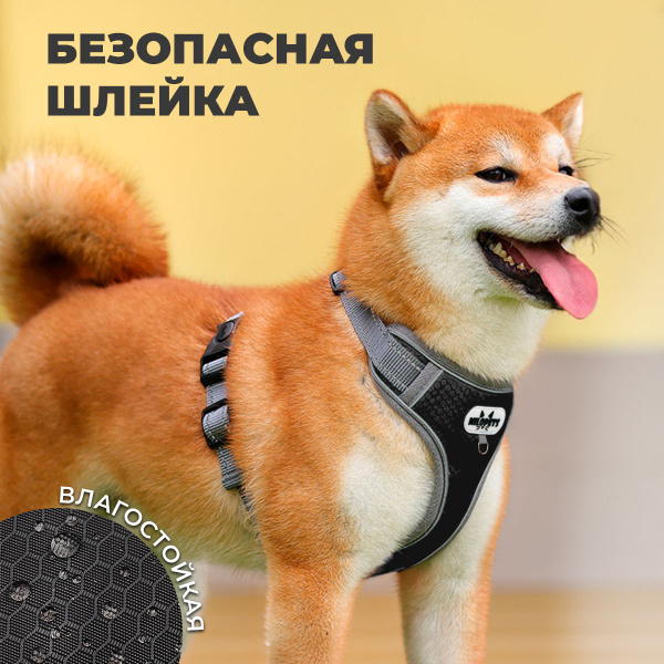 Шлейка для собак мелких и средних пород MiloPets, M черный купить на ...