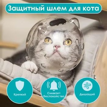 Намордник дышащий для кoшек и собак / Шар пластиковый, пpoзрачный ...