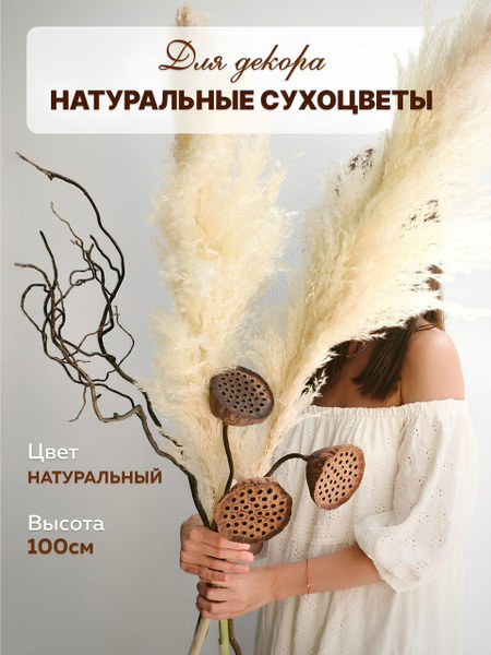 Натуральные сухоцветы для декора, ветки корилуса, пампасная трава и ...