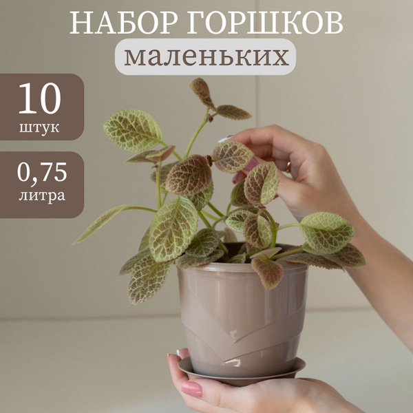 Горшки для фиалок, 10 штук по 0,75л, светло-коричневые купить на OZON ...