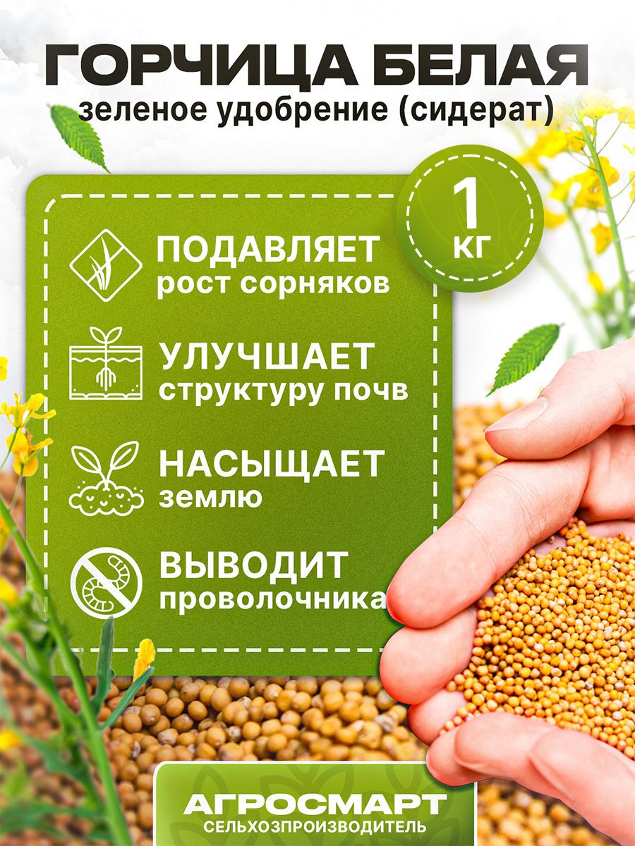 Первая репродукция семян