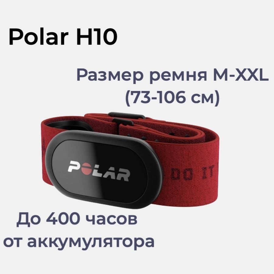 Кардиомонитор Polar H10 ANT+, красный - купить по низким ценам в  интернет-магазине OZON (1362002607)