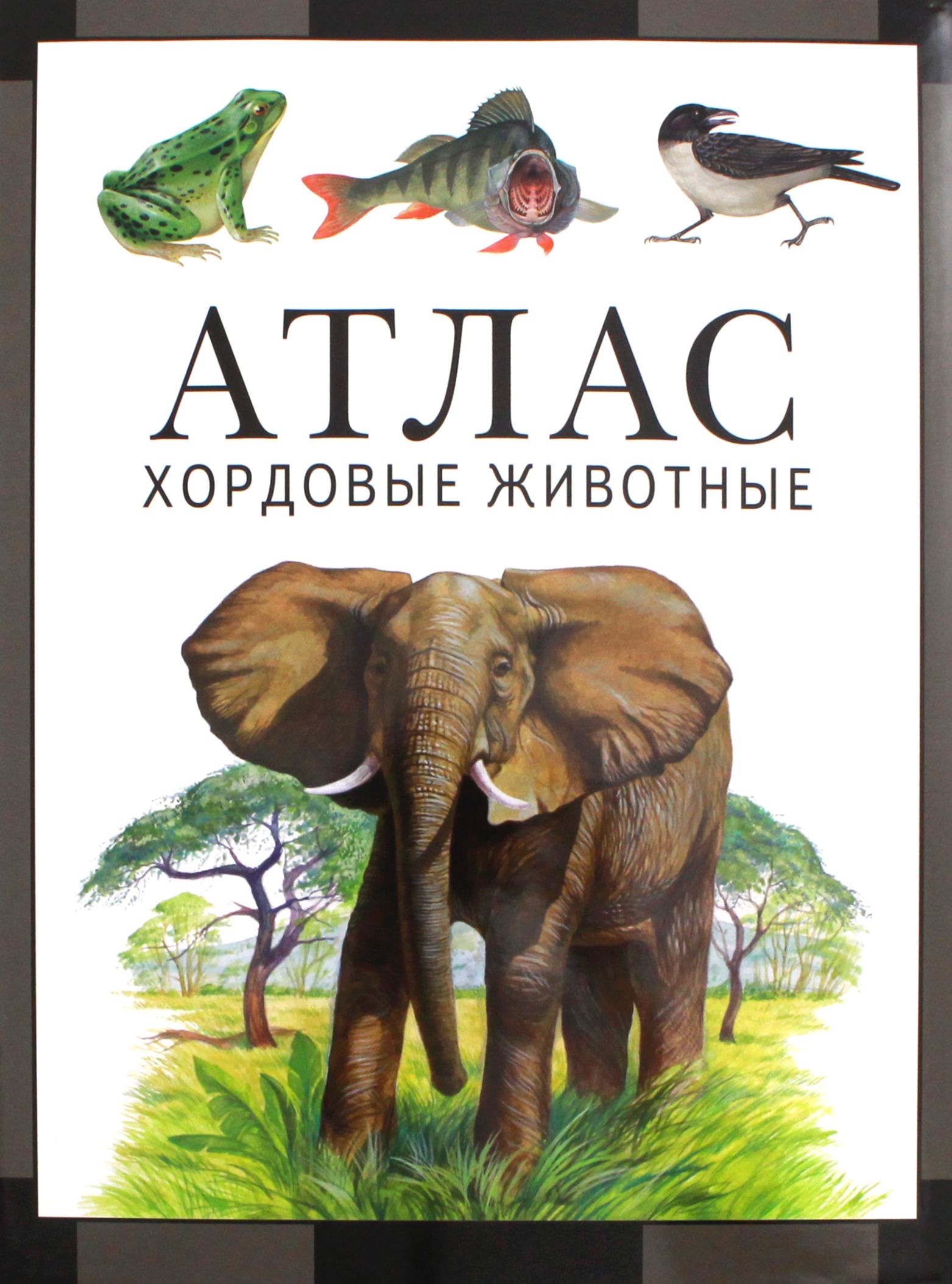 Хордовые животные. Атлас | Козлов Михаил Алексеевич, Дольник Виктор Рафаэльевич