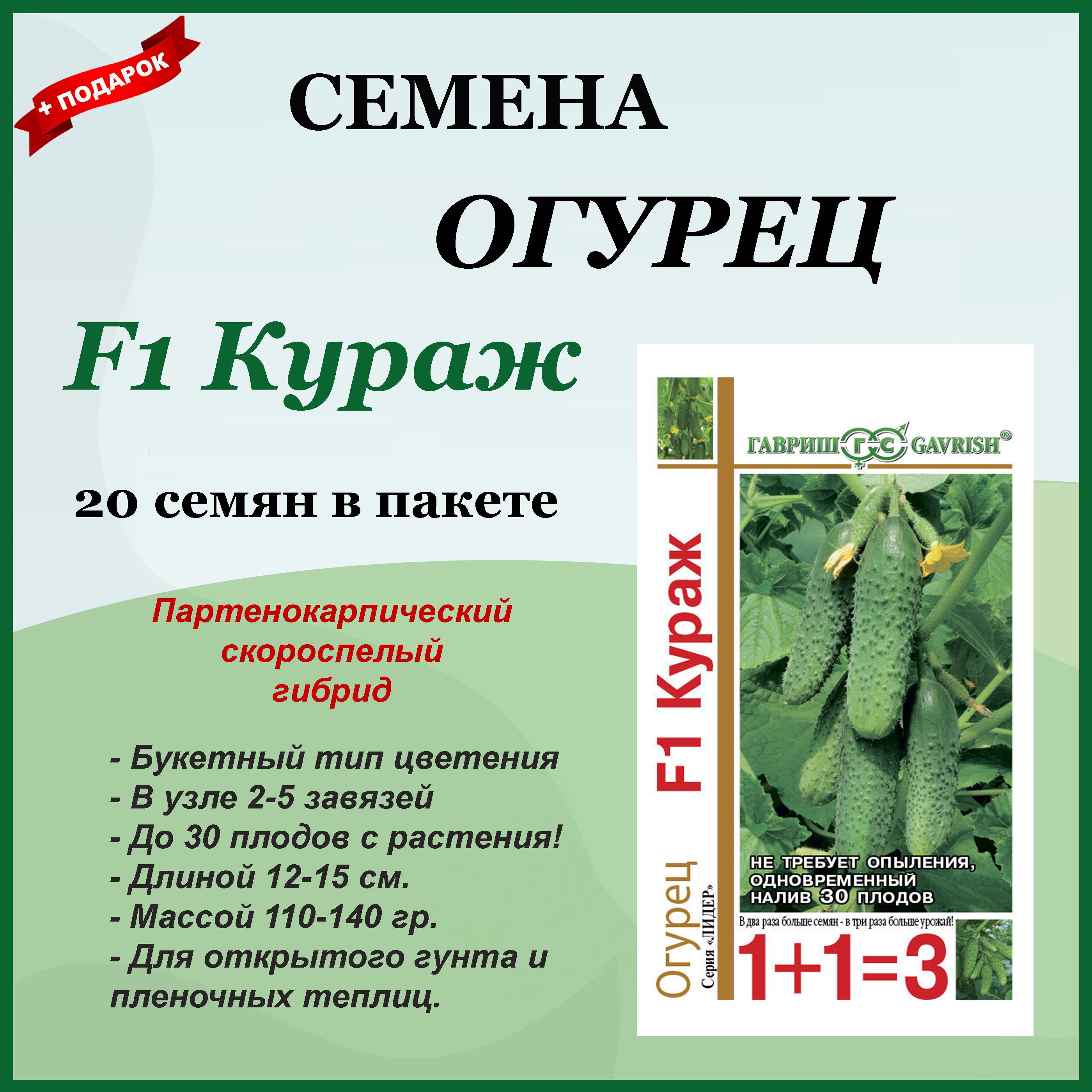 Кураж Огурцы Купить Семена