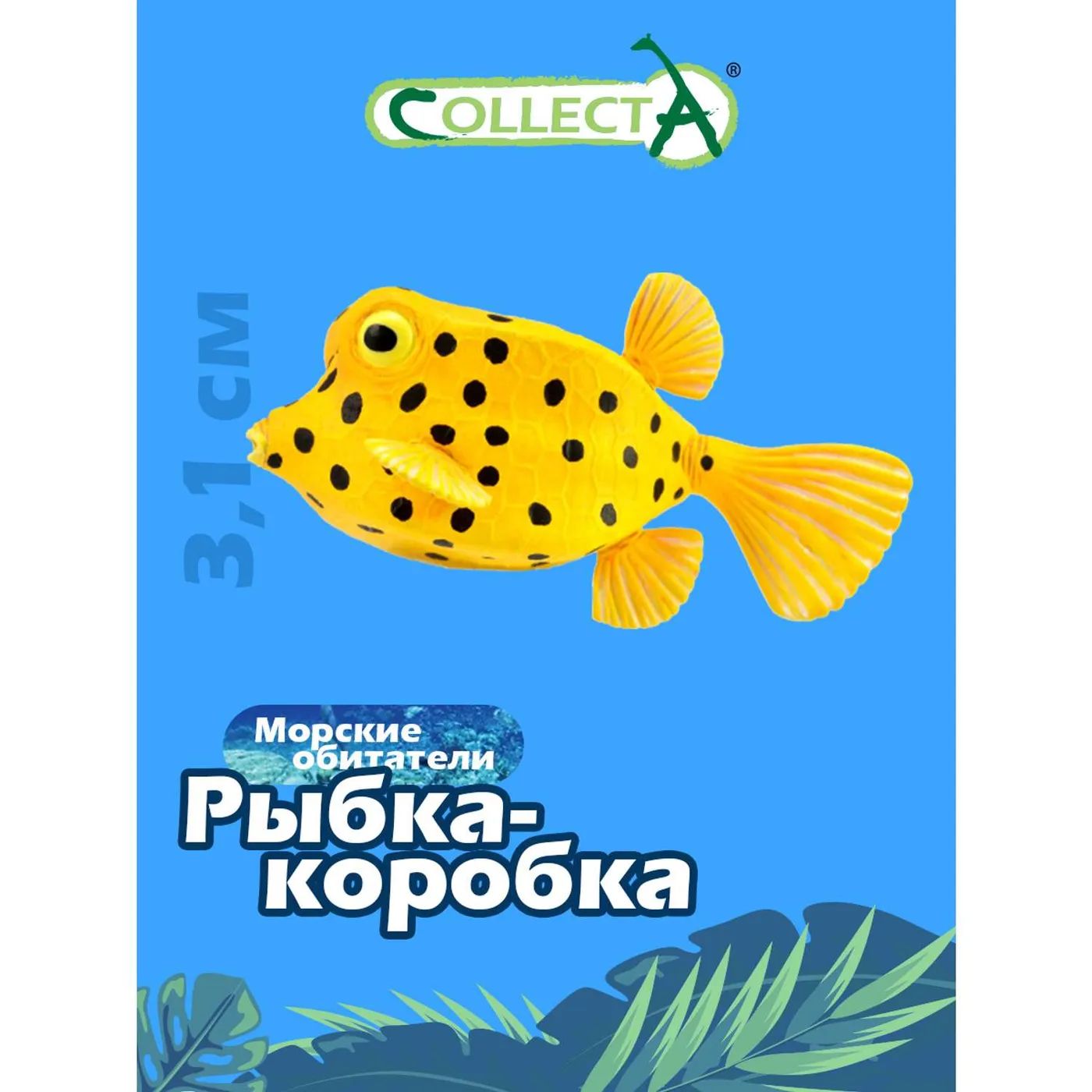 Рыба Коробка Фото