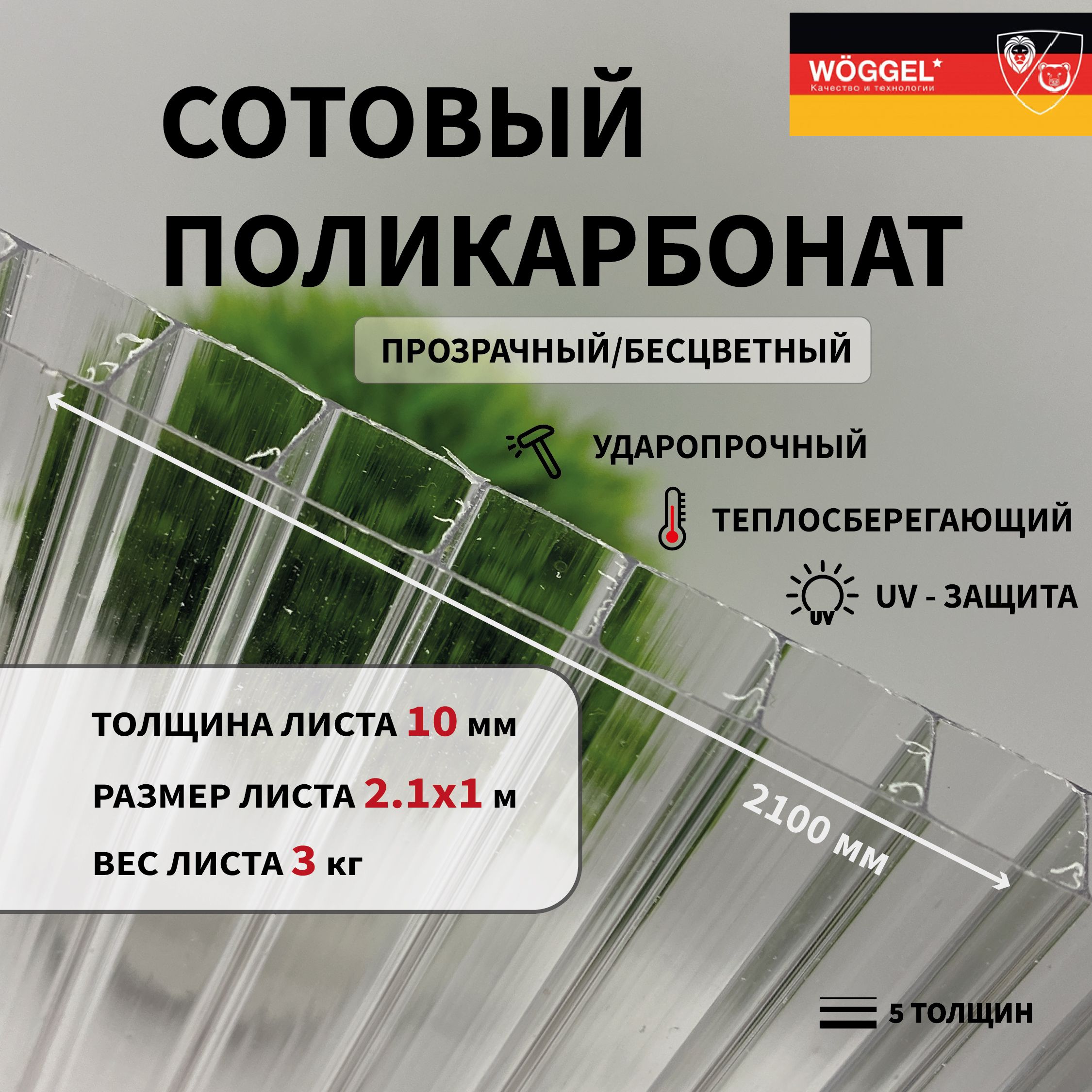 Сотовыйполикарбонат10ммПрозрачный2100х1000мм(2,1х1,0м)листовой