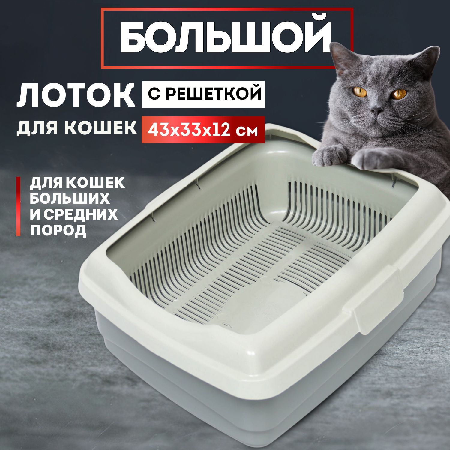 🐱Почему кошка ходит по маленькому в лоток, а по-большому - мимо? | Нос, хвост, лапы | Дзен