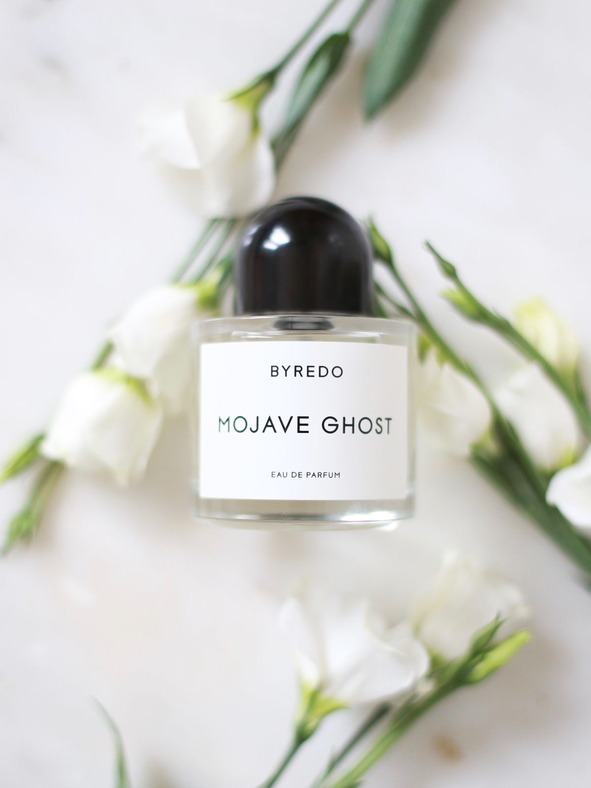 Духи byredo mojave ghost. Духи byredo mojave ghost. Mojave ghost духи. Byredo mojave ghost 100ml. Byredo mojave ghost 100ml.