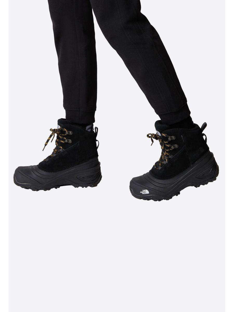 The north face chilkat v. The north face chilkat v