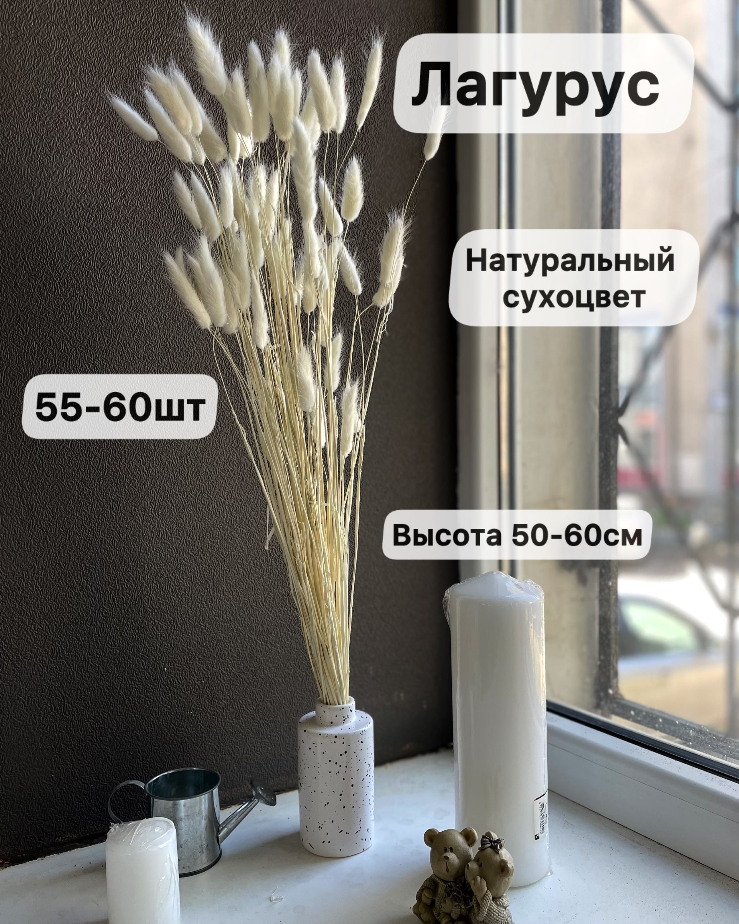 Сухоцветы Лагурус, 50 см, 80 гр, 60 шт