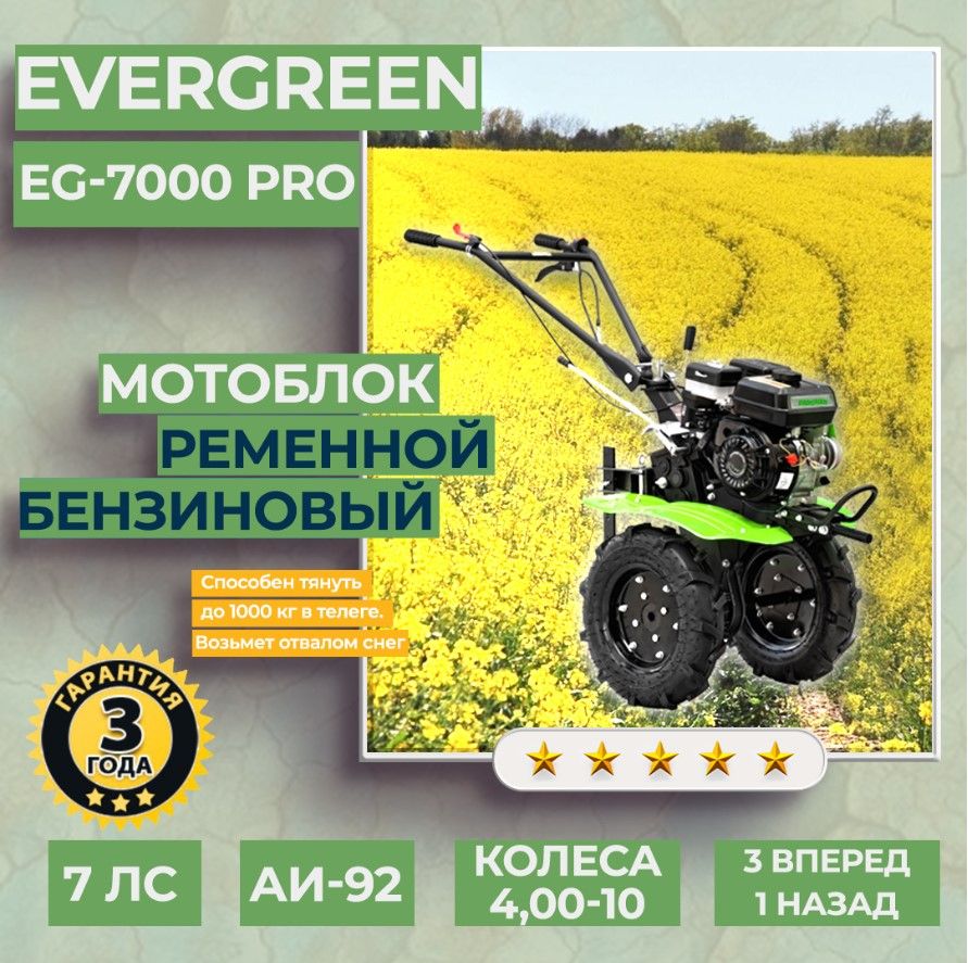 Мотоблок бензиновый EVERGREEN EG-7000 PRO, КОЛЕСА 4,00-10,  сельскохозяйственная машина, мотокультиватор, 7 лс, 3 вперед 1 назад -  купить мотоблок по выгодной цене в интернет-магазине OZON (1555959294)