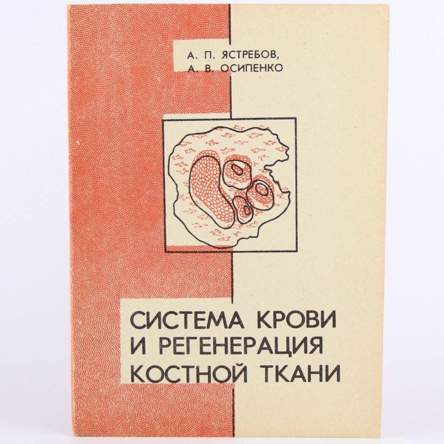 Система крови и регенерация костной ткани | Ястребов Анатолий Павлович, Осипенко А.