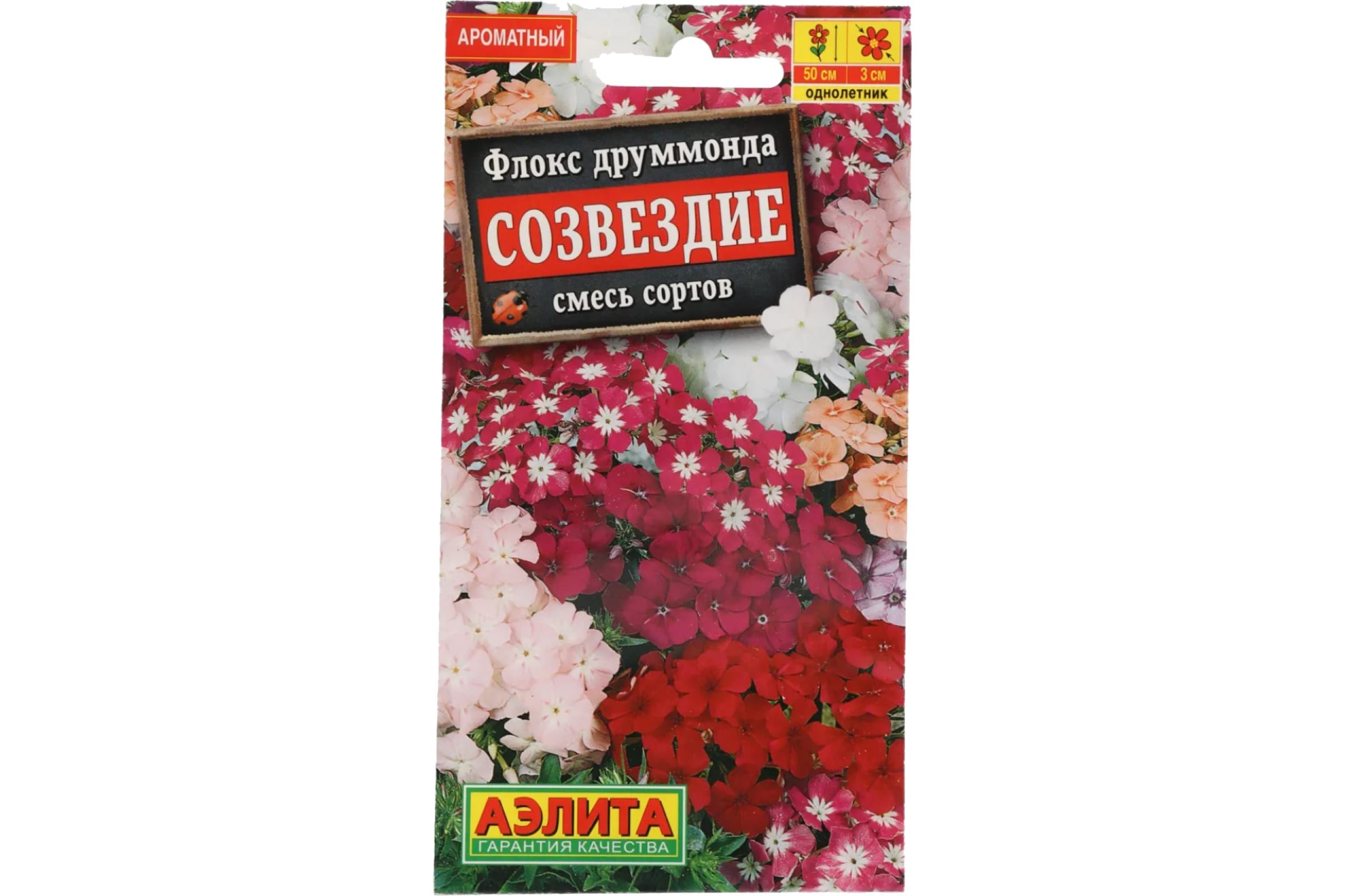 Флоксы Однолетние Купить Семена