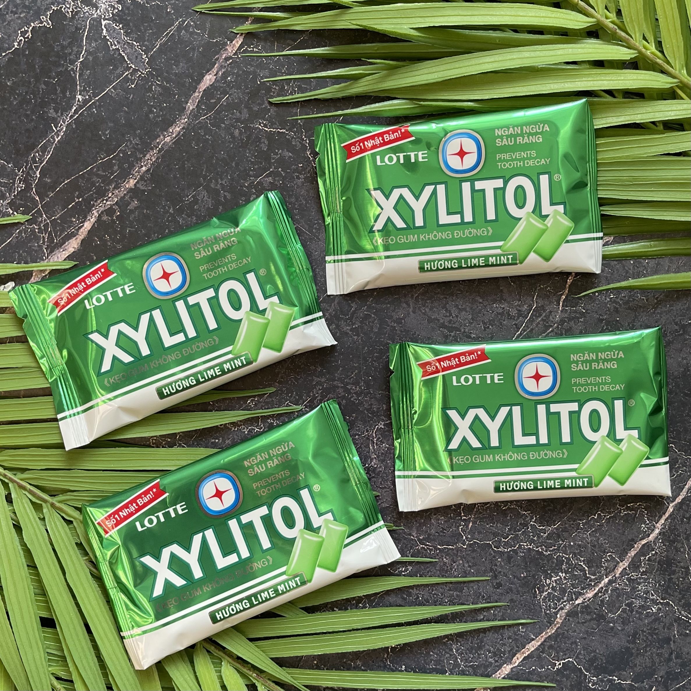 Жевательная резинка без сахара XYLITOL Лайм-мята (набор 4шт)