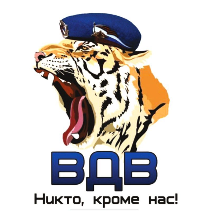 Заставки на телефон вдв