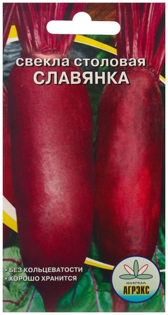 Свекла Славянка Описание Сорта Фото
