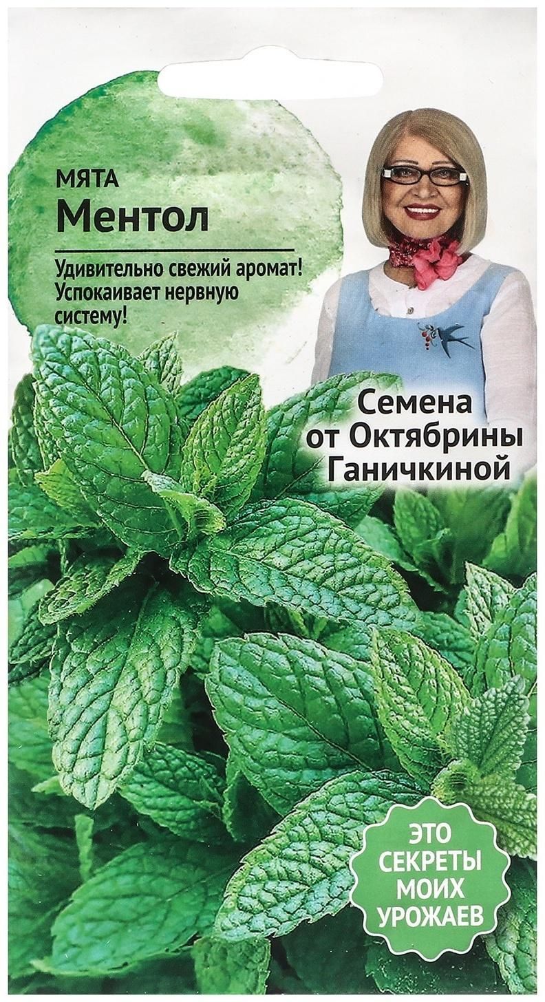 Купить Семена Мяты Шоколадной В Интернет Магазине