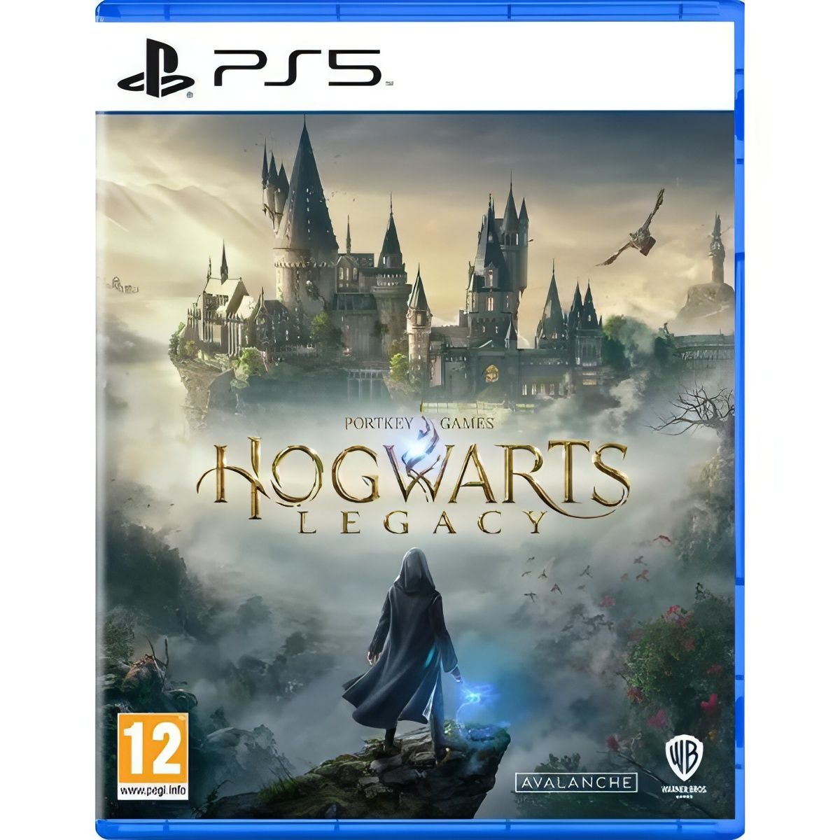 Игра Hogwarts Legacy (PlayStation 5, Русские субтитры)