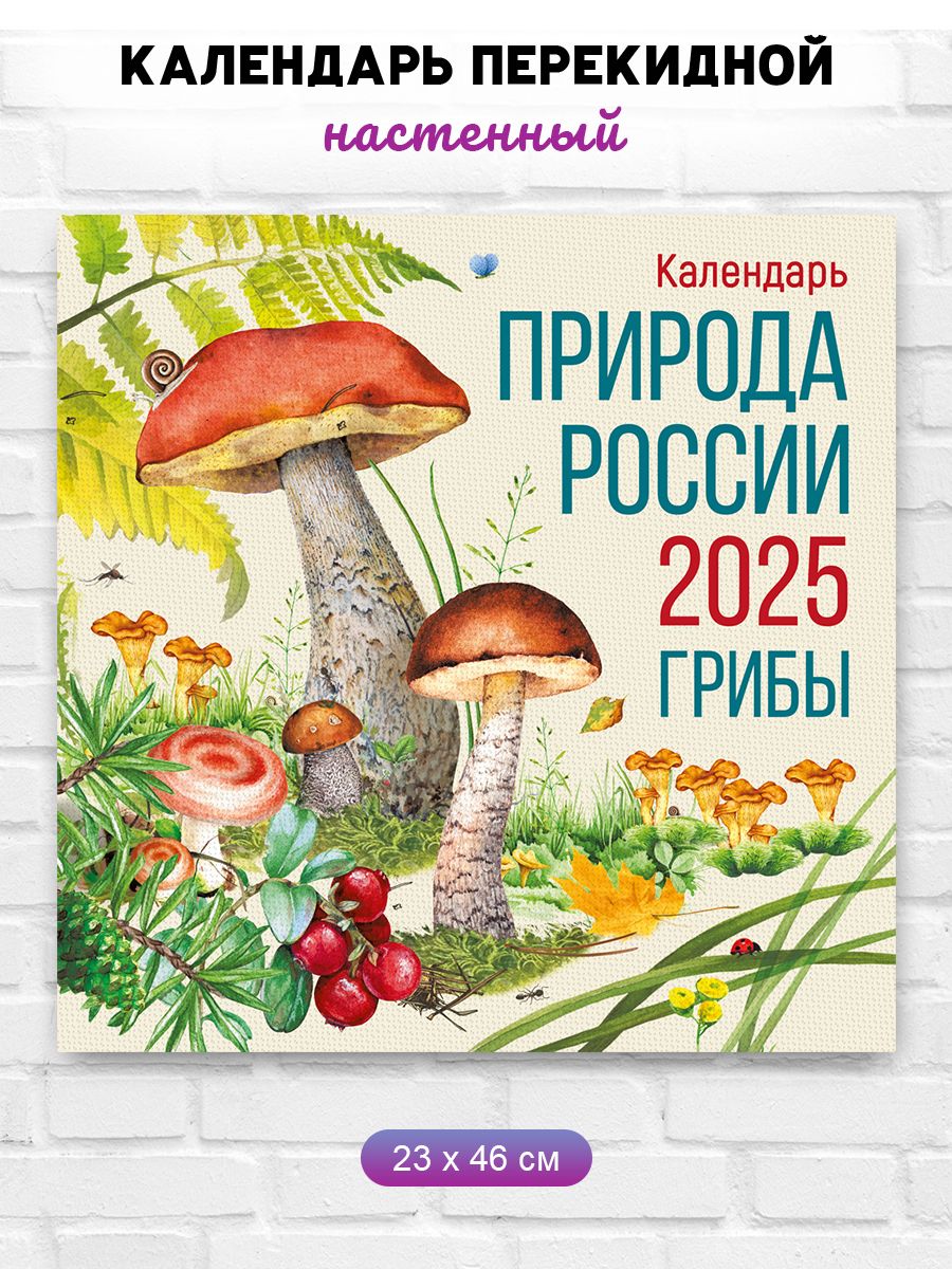 Фото Природы 2025