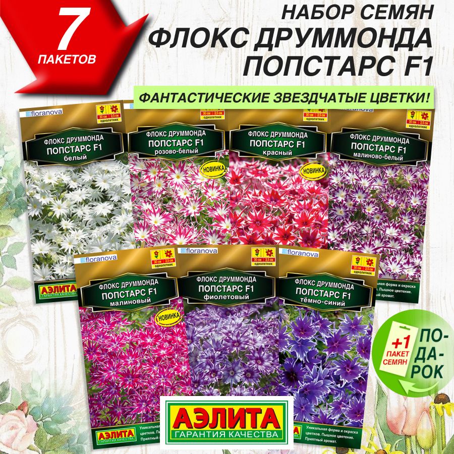 Флоксы Однолетние Купить Семена